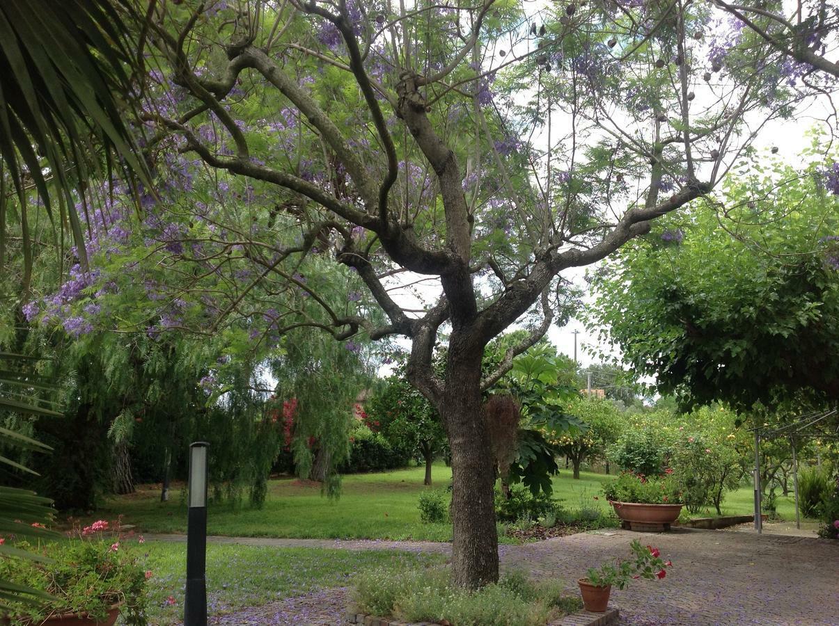 La Quercia Bed & Breakfast Altavilla Silentina Exterior foto