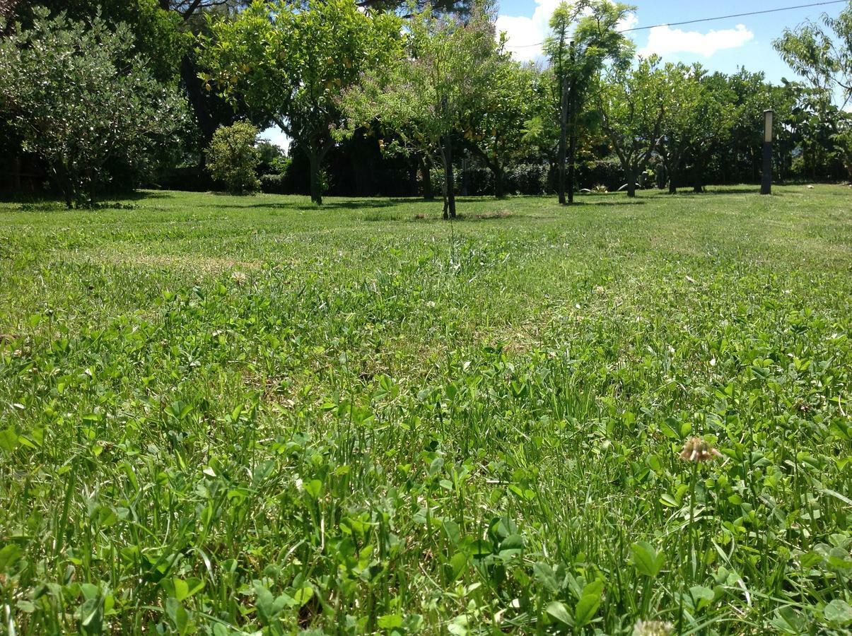 La Quercia Bed & Breakfast Altavilla Silentina Exterior foto